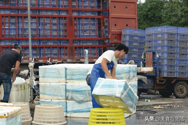 中国十大顶级大型海鲜市场在哪里,全国各大海鲜市场现状