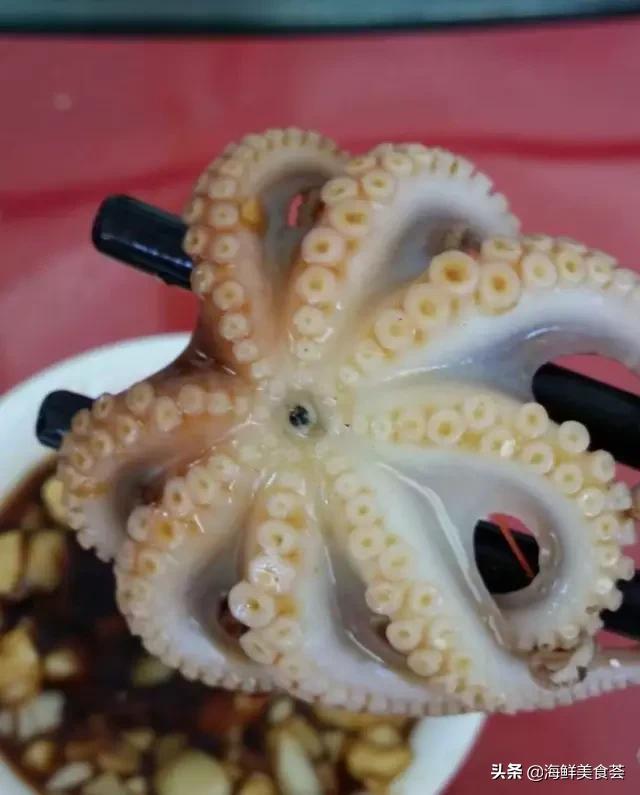 常见的鱼虾蟹等海鲜的认识,虾蟹类海鲜大全