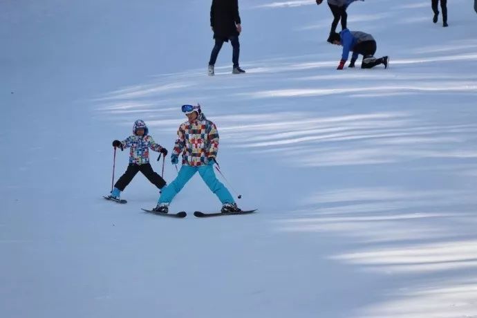 雪乡雪谷三日游,中原看雪旅游的地方