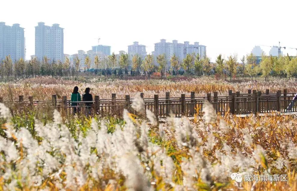 威海南海家园,威海南海新区最具幸福感城市