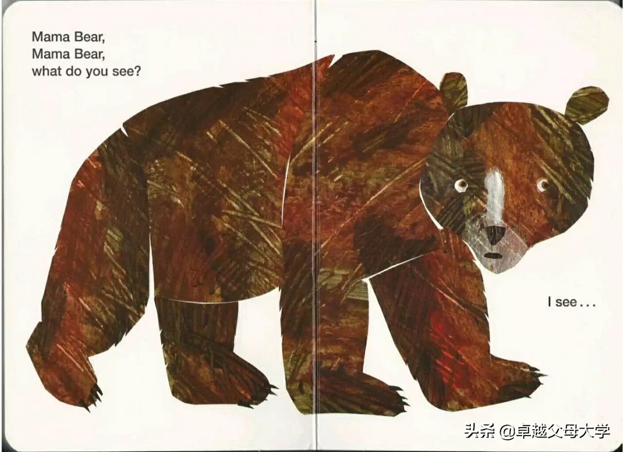 babybear英文绘本,babybearwhatdoyousee绘本