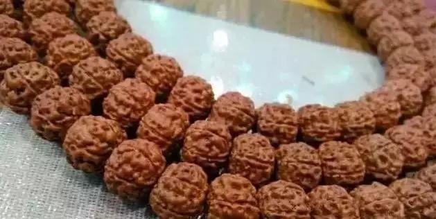 小金刚菩提如何清理果肉,小金刚菩提深度清理