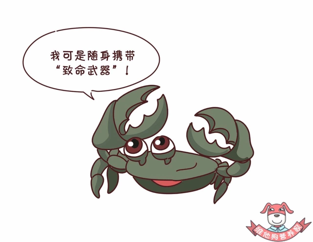 蟹黄蟹膏是什么蟹,河蟹蟹黄蟹膏是什么样的