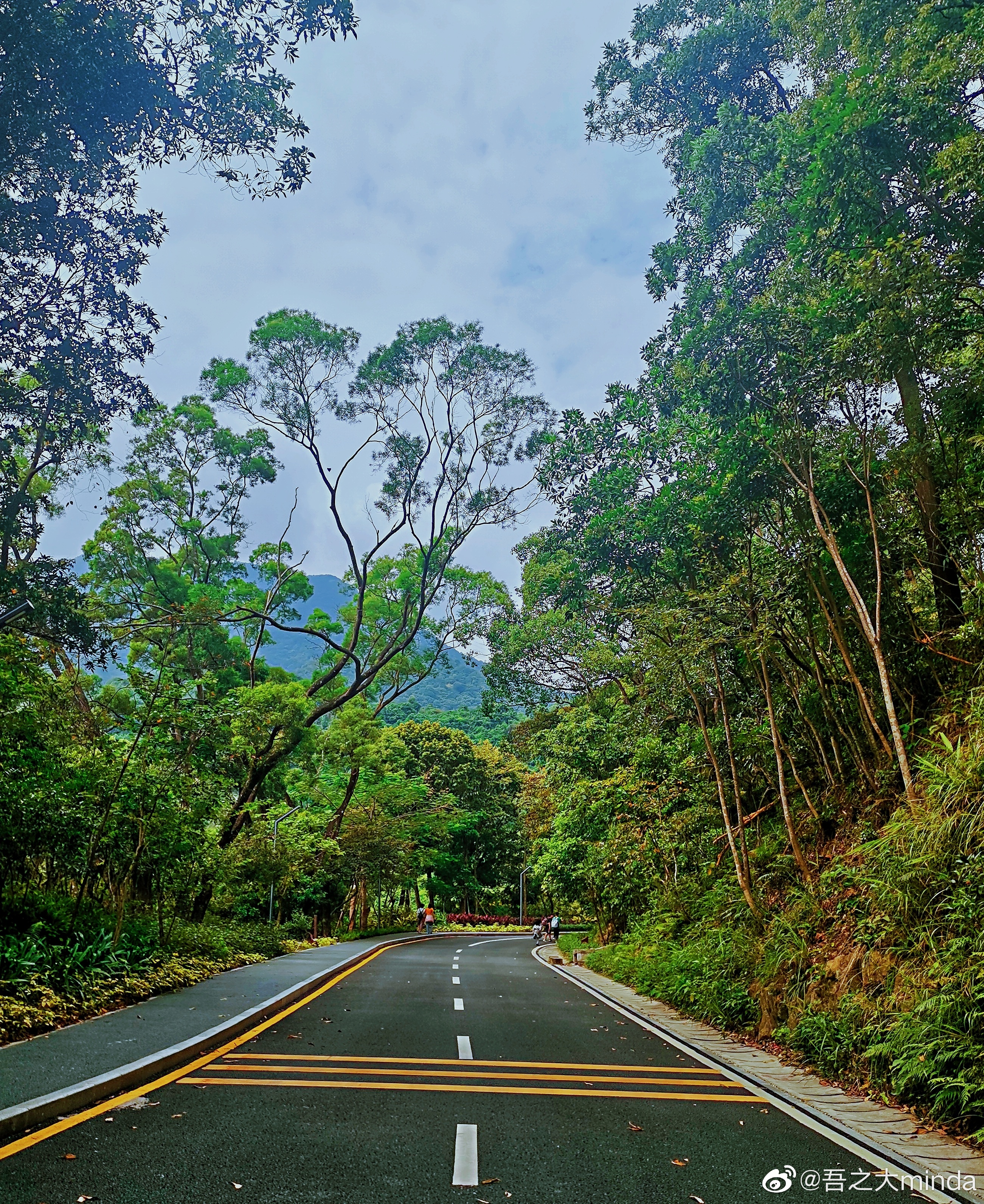 梧桐山下幽径,梧桐山下清风明月