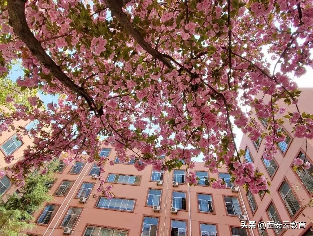 010413选择西科,未来可期西安电子科技中学2020年新高一等你来