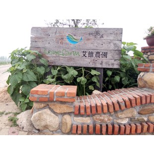 20亩的小农场产值翻了5倍,20亩小农场的发展