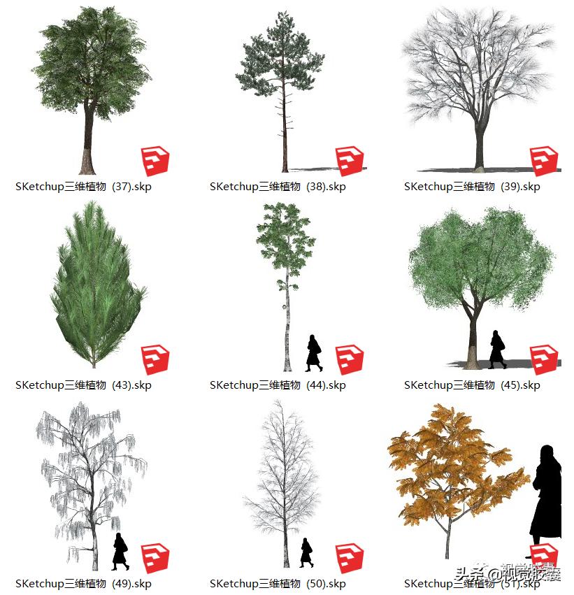 不去用模型树，你根本不知道它有多“香”？