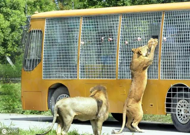 上海被称为魔都始于什么,魔都上海帝都北京还有什么