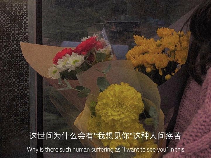 文字头像壁纸无水印,陈情令文字壁纸无水印