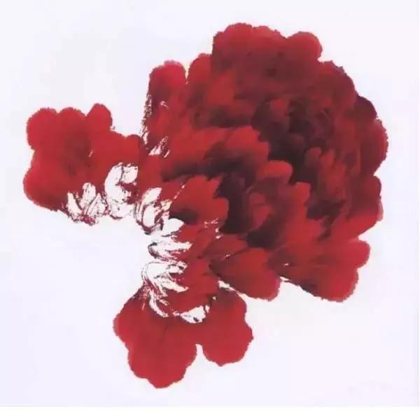 牡丹九大色系,九种牡丹调色法