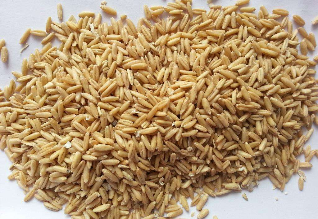 杂粮水分怎么测,谷物水分检测方法