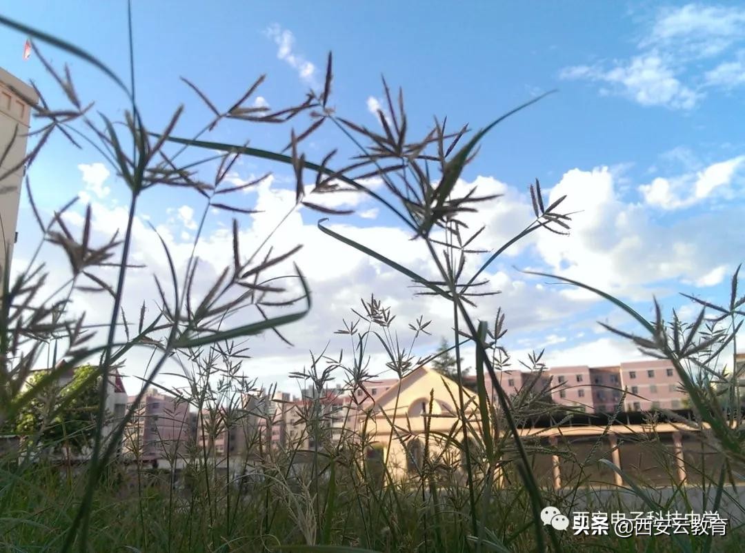 010413选择西科,未来可期西安电子科技中学2020年新高一等你来