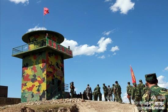 白杨树全文朗读合拍,白杨树文章阅读