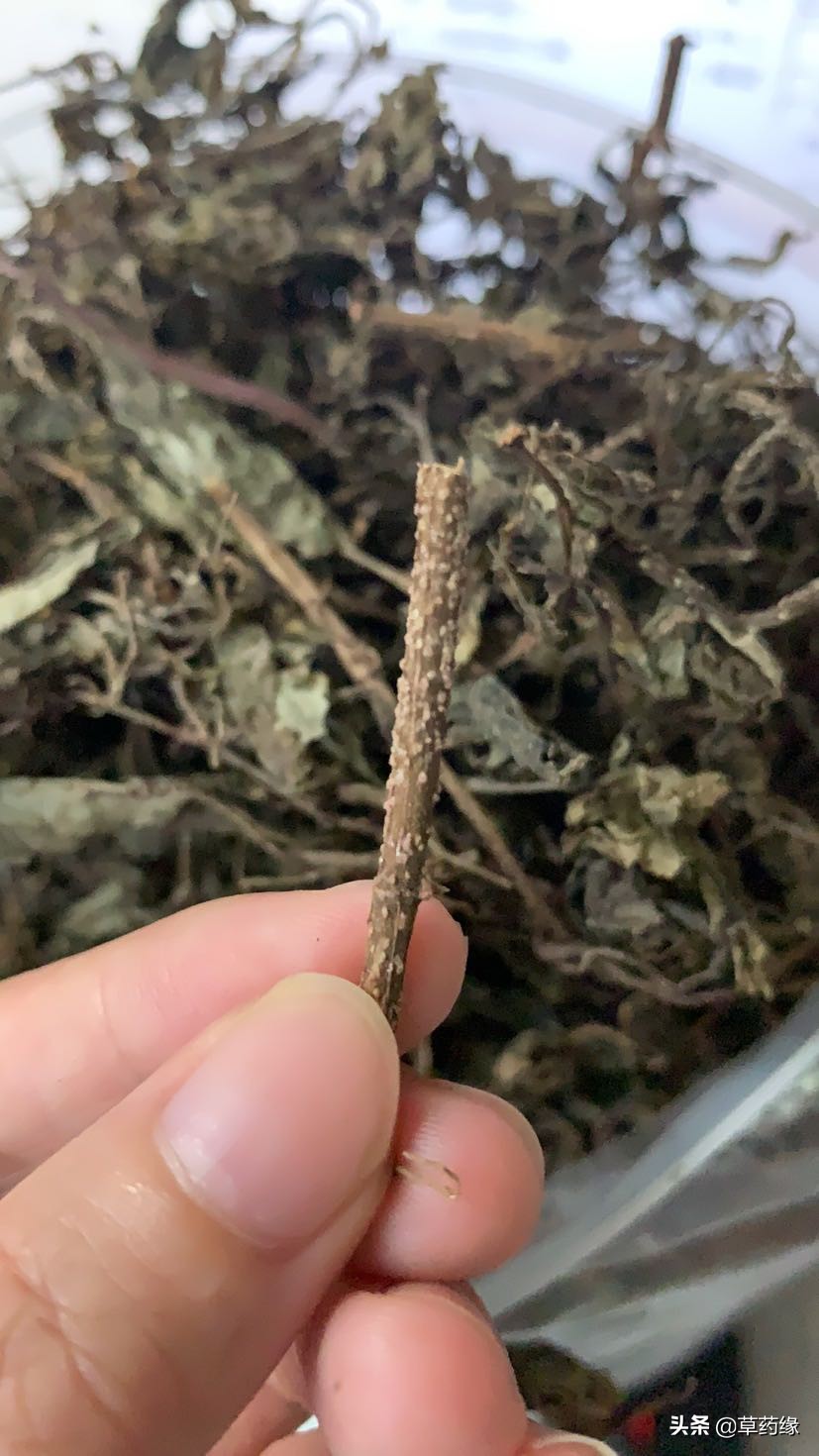 种植草药骗局,种植中草药的几种骗局