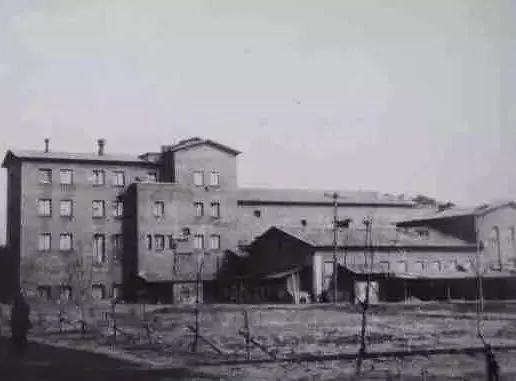 雪花青岛哈尔滨哪个好喝 (雪花哈尔滨青岛哪个啤酒好喝)