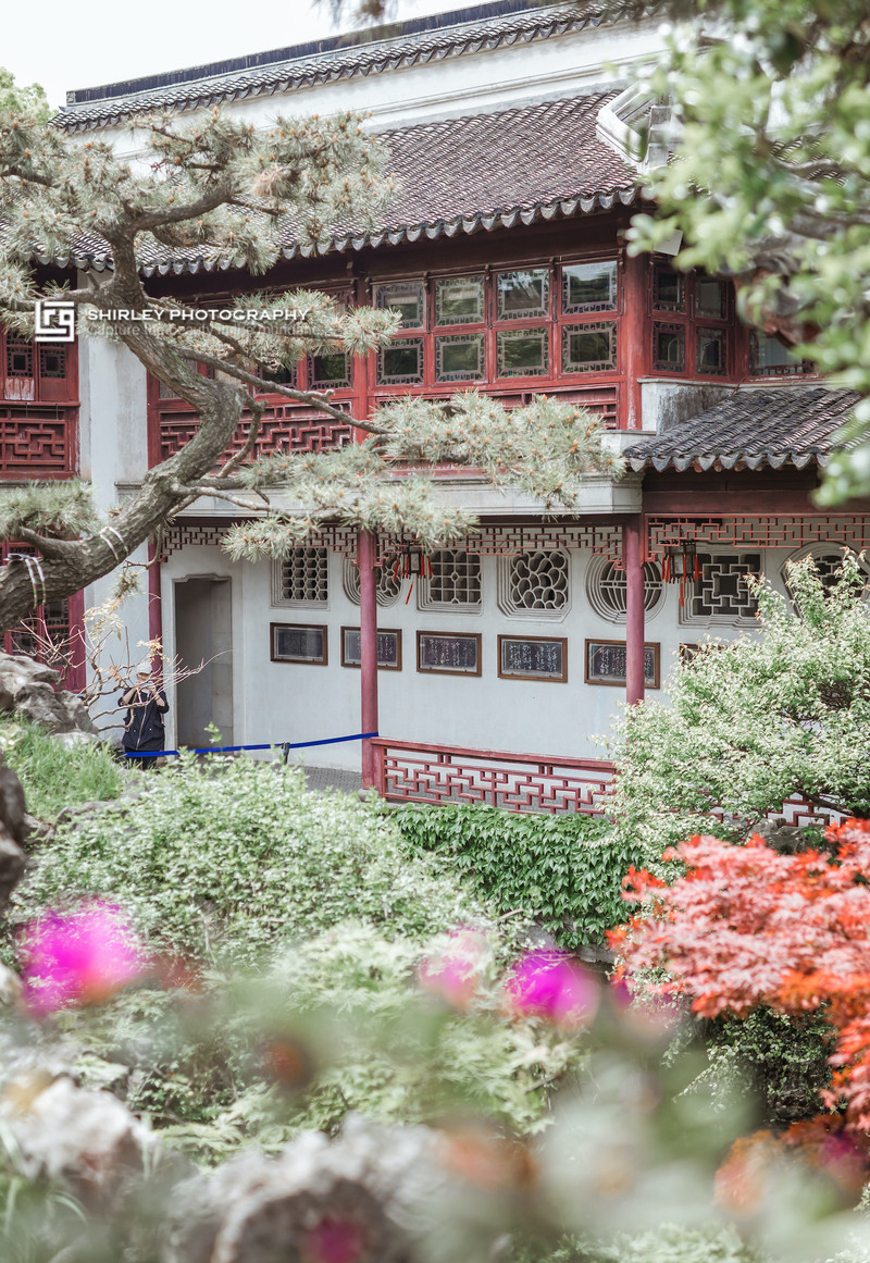 苏州旅游最不能错过的江南园林,留园拙政园是苏州著名的园林