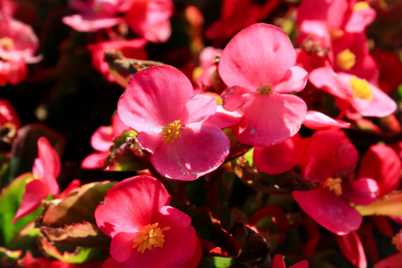 坐拥“专属地铁”,有7大美食集结地!东北这所大学“顶尖”配置太绝!