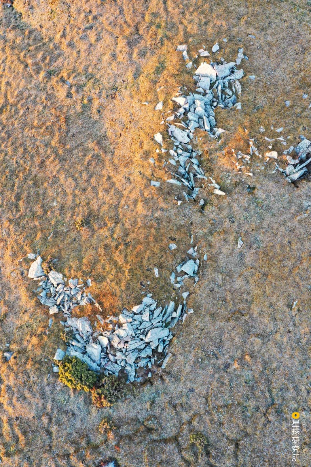 五台山值得去吗,泰山和五台山哪个更值得去