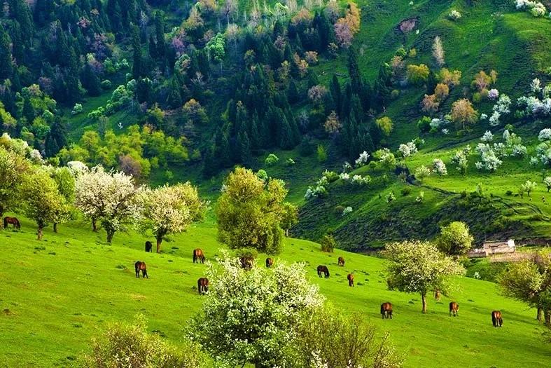 塔城最好旅游季节,塔城好去处