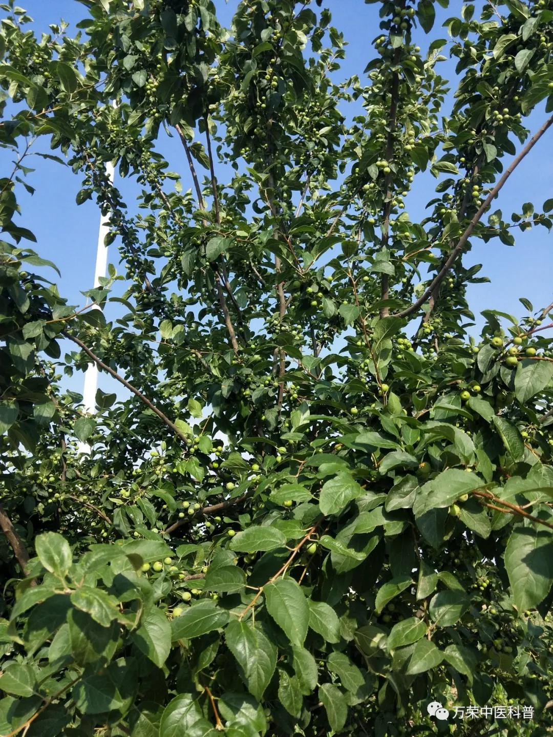 跟我回家在线免费看,跟我回家免费看