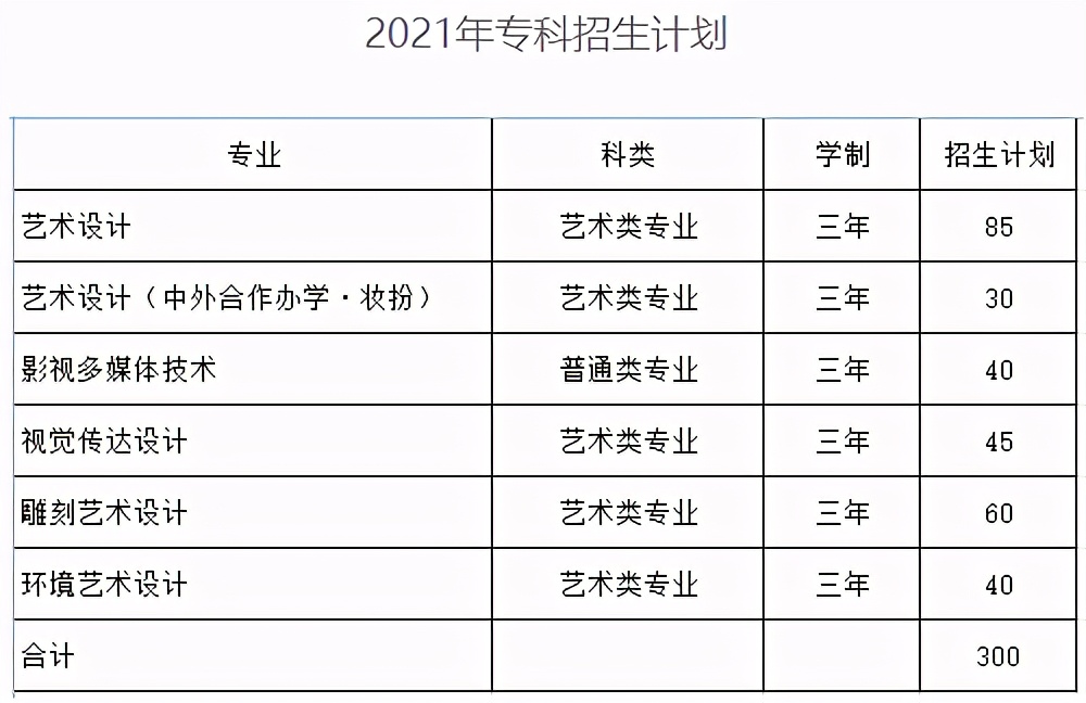 山东哪所公办本科院校有专科专业,山东男生300分专科选一个什么专业