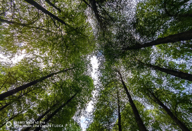 mate40pro和magic4pro哪个值得买,华为mate40pro深度测评最新