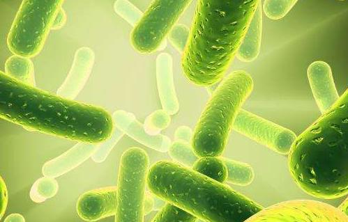 狗狗不吃不喝吐白色粘液,狗狗吐白色粘液怎么办啊