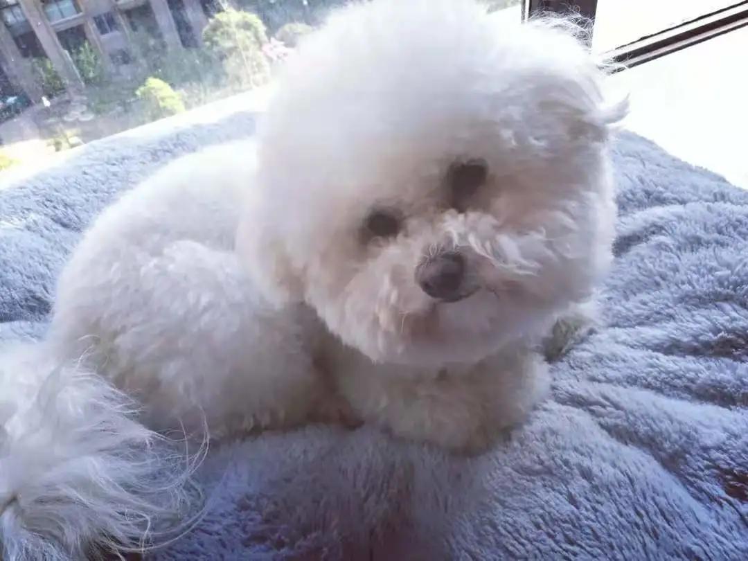 cctv村里来了个农业特派员,村里的联络员