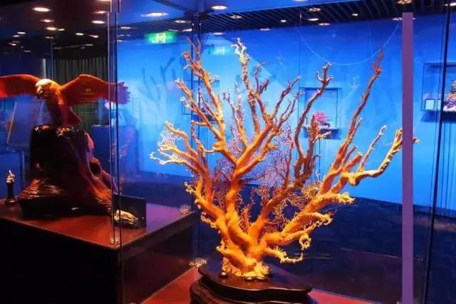 中国最稀有的玉石图片,中国各省珍稀玉石