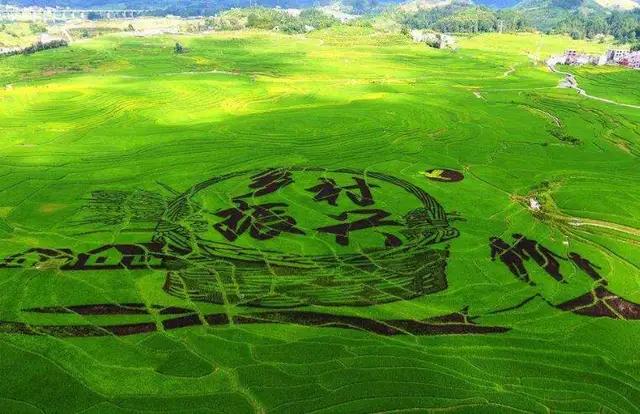 教育是点燃一把火而不灌满一桶水,教育不是注满一桶水而是燃一把火