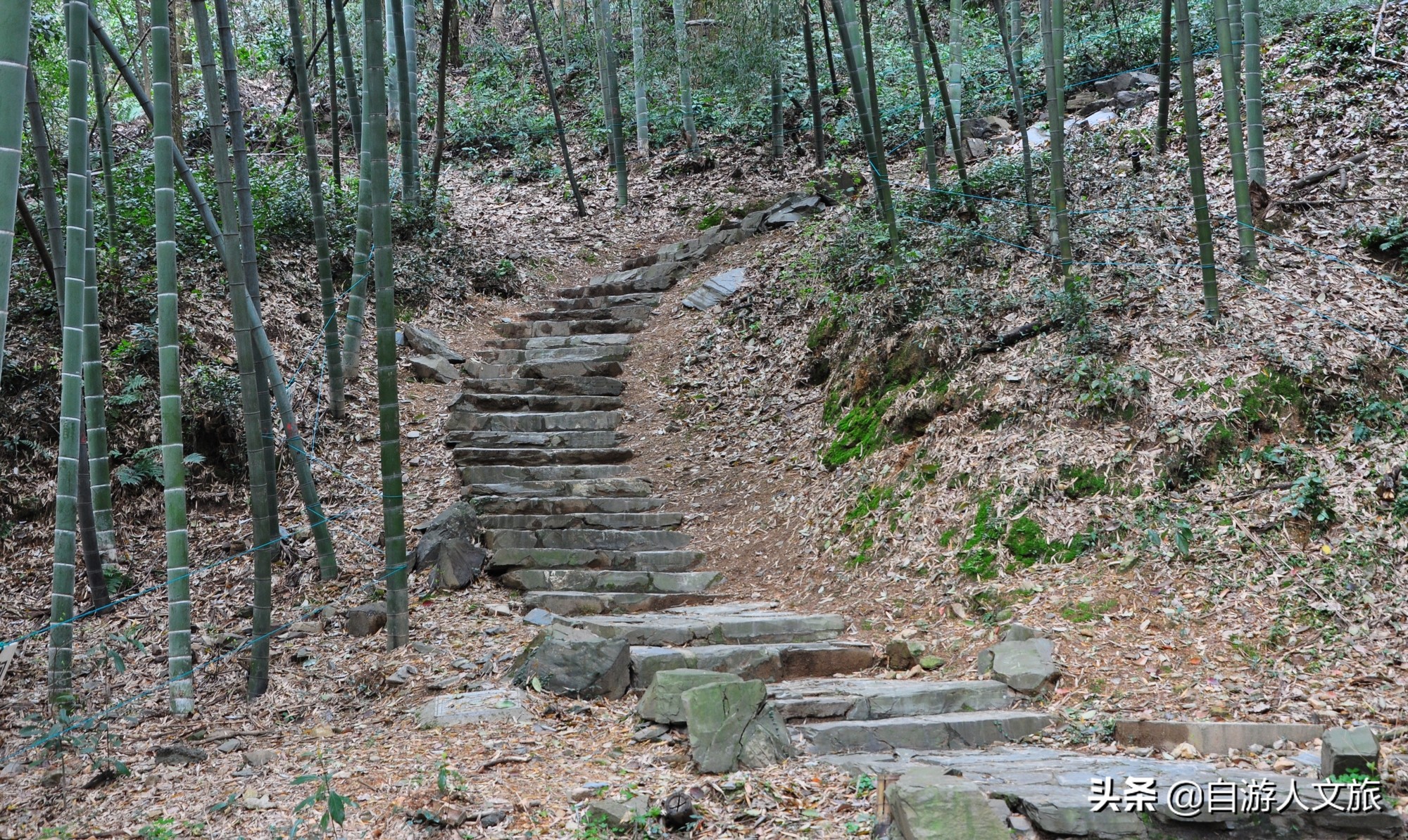环西湖群山徒步毅行,行走西湖古诗词