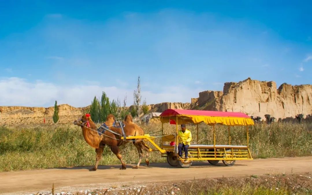 银川附近有啥不要门票的景点吗,银川必去的五大景点的门票