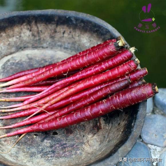 春季萝卜的最佳吃法,萝卜什么季节吃比较好