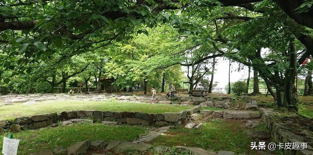 五一去日本看樱花,五一假期日本