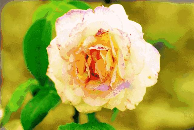 朋友相遇要珍惜愿我们的友谊永久,友谊天长地久且行且珍惜