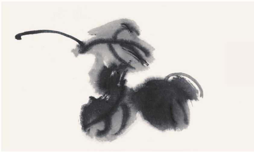 国画牡丹叶子的画法一窍不通,如何画牡丹花叶子和枝干国画视频