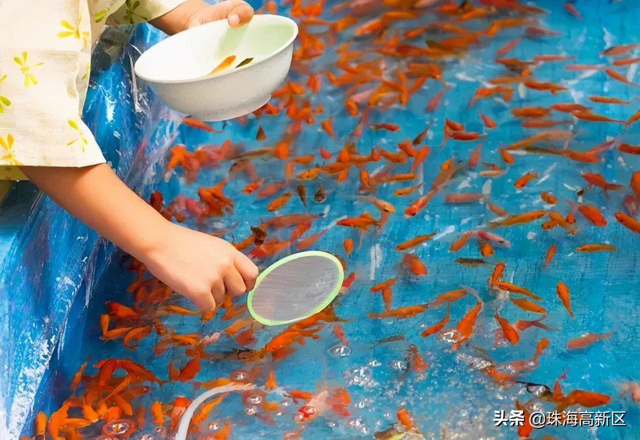 开市啦完整视频,开市啦生鲜早市特惠商品播报