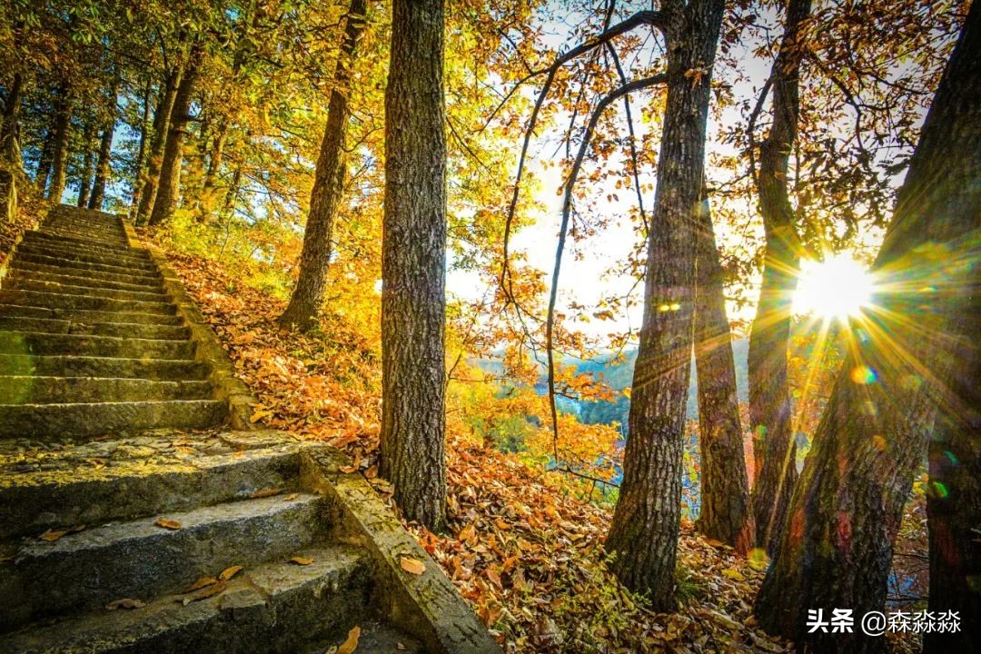 秦岭赏秋怎么玩才好玩呢,大秦岭山旅游攻略