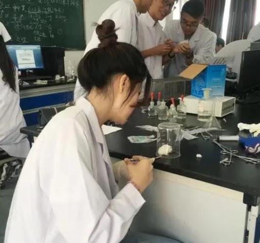 学医怎么选专业？3类实力强的医学类就业前景分析，想学的快收藏