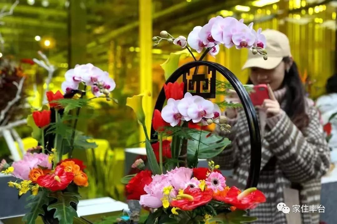 小编整理！丰台四大花市逛买攻略！春节就要这喜庆劲儿
