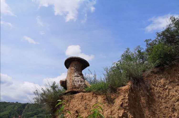 生态宜居家园风景,生态环境美丽家园