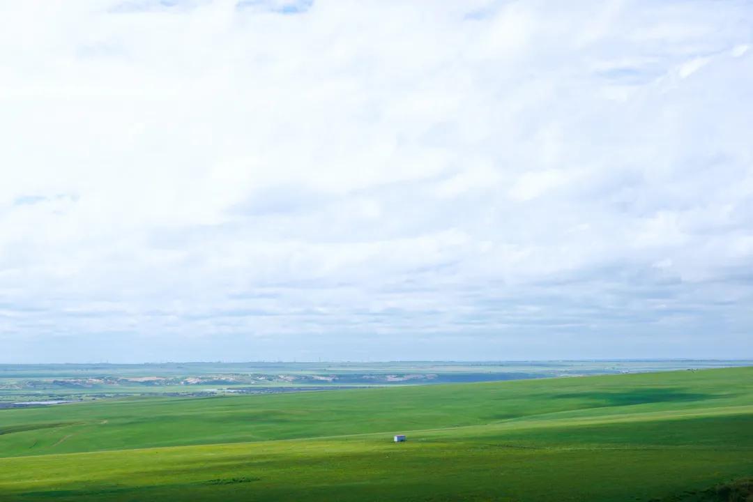 八月的呼伦贝尔大草原,辽阔的呼伦贝尔大草原风景