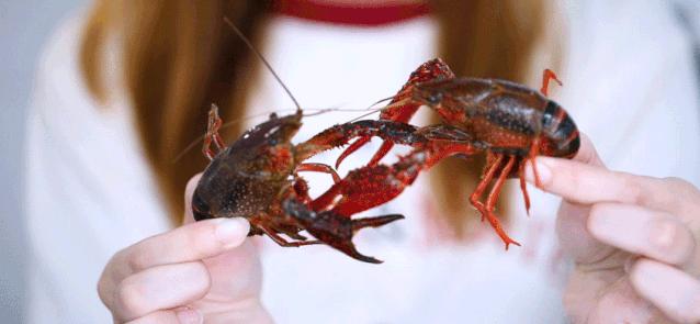 松哥油焖大虾南城榕树下店,松哥油焖大虾多少家店