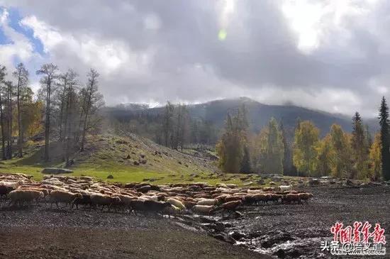 支教老师泪目,支教千字长文素材