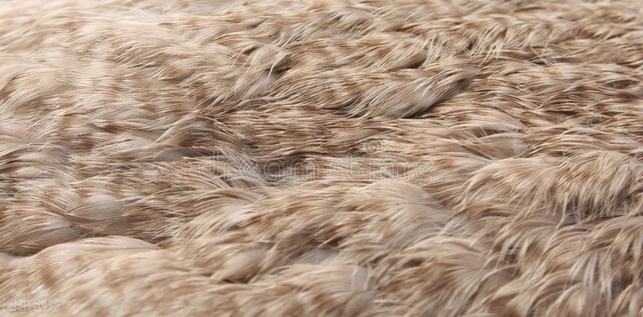 羽绒被去除鸭腥味妙招,壹健康怎么样