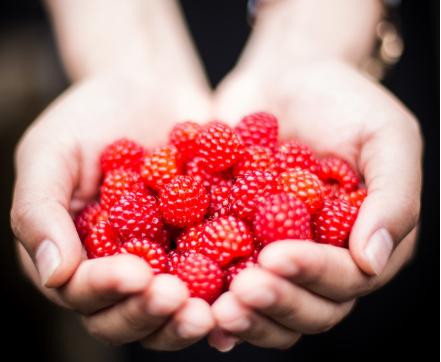 鲜树莓酒的泡制方法,树莓泡酒的制作方法