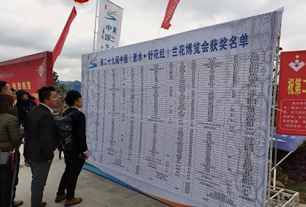 惠水第29届兰博会兰花获奖图片,惠水国际兰花展