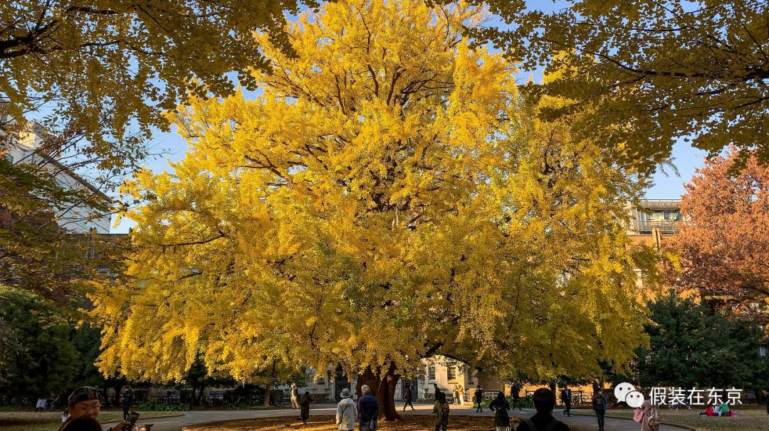 做公众号一年一百万,做公众号3年