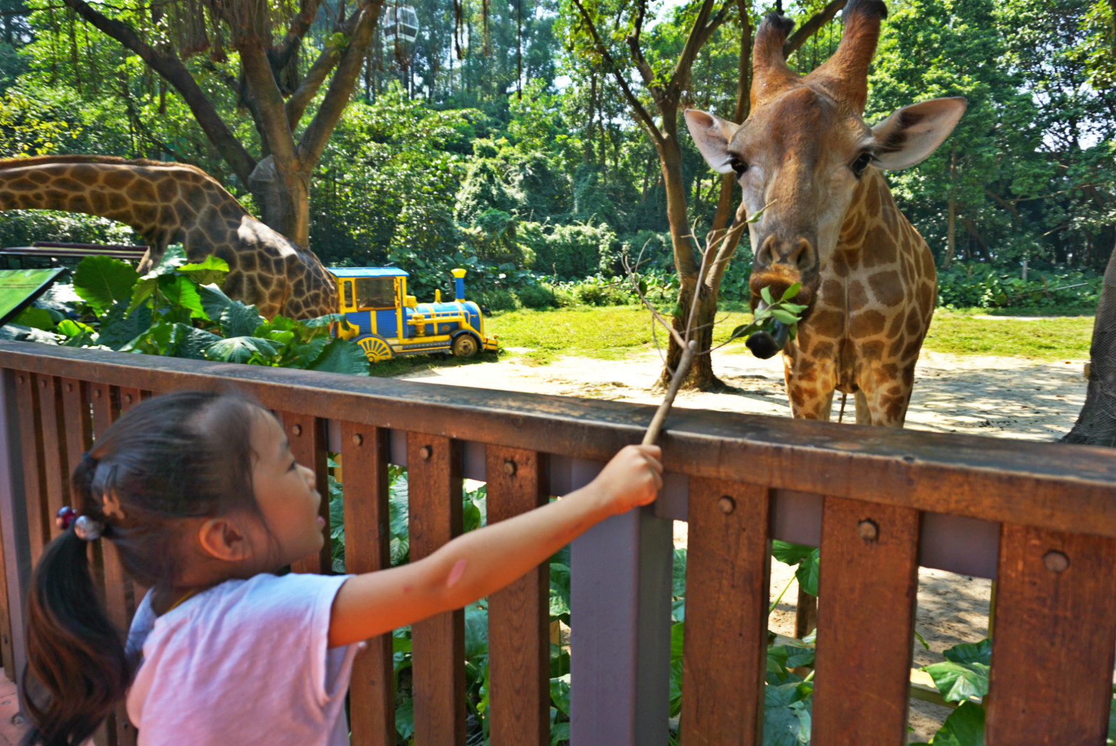 常州恐龙园和珠海长隆哪个好玩,珠海长隆海洋王国好玩吗