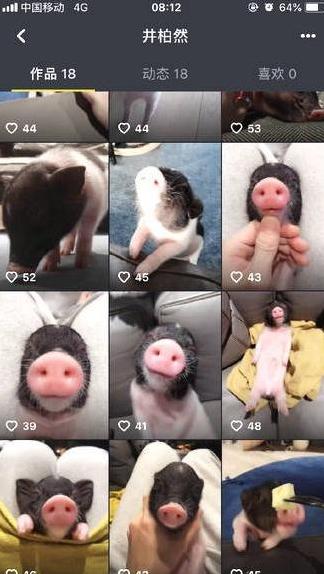 宋茜养猪奇葩视频,宋茜养猪达人完整视频